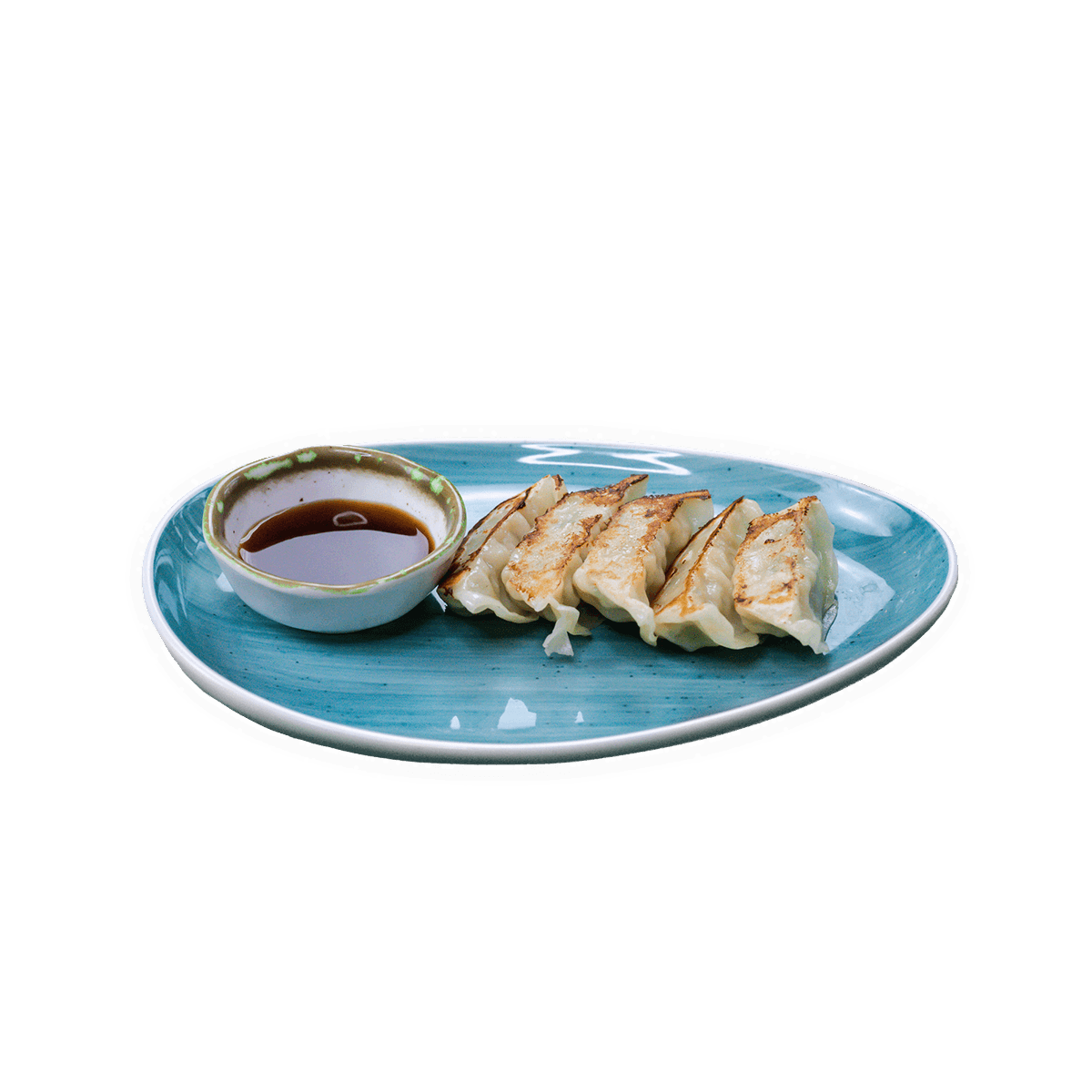 Chicken Dumplings